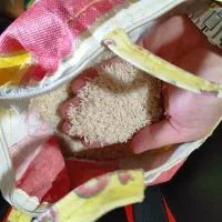 برنج علی کاظمی