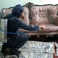سمپاشی کلیه حشرات سم پاشی سوسک ساس موش  با ضمانت