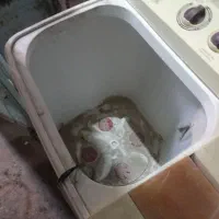 لباسشویی دو قلو