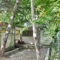اجاره روزانه خانه باغ دربست