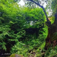 فروش زمین در ماسال