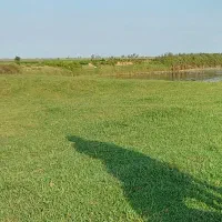 زمین-کشاورزی