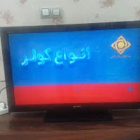 تلویزیون