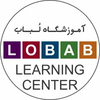 مدرس حرفه ای زبان انگلیسی