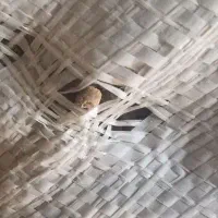 دان پلت پایان یک مرغداری