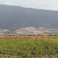 زمین کشاورزی دیم پشت قراول حاجی تاجی