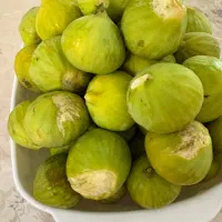 انجیرگلوگاه‌شیرین وابغوره وانجیرخشک ورب انار