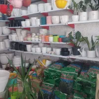 فروش گلدان و ملزومات گل و گیاه