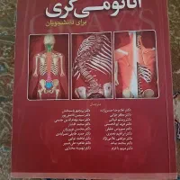 آناتومی گری