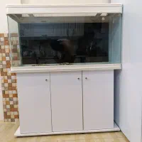 آکواریوم بزرگ