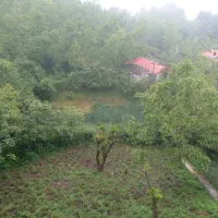 اجاره روزانه کلبه جنگلی