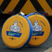 لاستیک میشلن michelin اورجینال 2025 Xmax