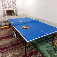 میز پینگ پنگ تاشو