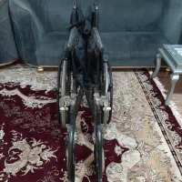 ویلچر تایوانی