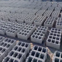 بلوک زن ماهر