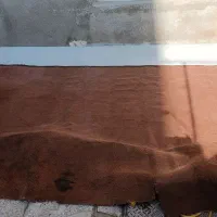 موکت|موکت|همدان, |دیوار