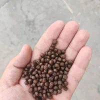خوراک ماهی اکسترود کپور