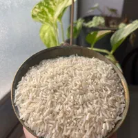 برنج هاشمی درجه یک