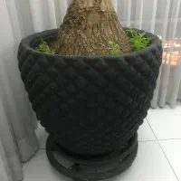 گلدان لوکس و بزرگ