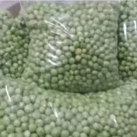 پخش باقالی نخود باقالی قاتوق ذرت پیازداغ سیرالبالو