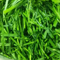 استخدام همکار خانم جهت کار در کارگاه سبزی‌پاک کنی