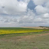 ایده فیلمنامه