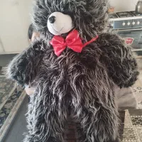 خرس بزرگ