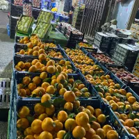اجاره باغ یا بستن قرارداد خرید میوه از باغدارها