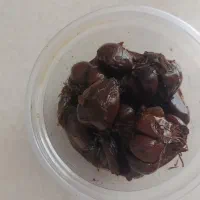 سرکه سیر ۷ ساله