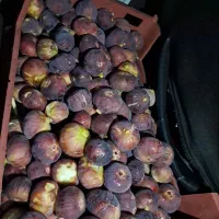 فروش انگور وانجیر بش کلستان شیراز.