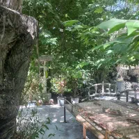 خونه فرو شی         پرده فروشی