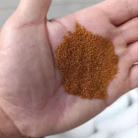خاکشیر بوجاری شده
