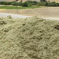 2تریلی علف یا سوزه قیمت45میلیون