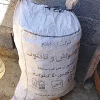 زغال