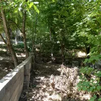 هزار متر باغ آبی در روستای قره باشلو