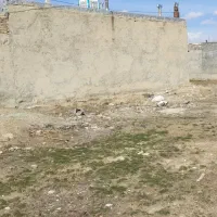فروش زمین ولیعصر