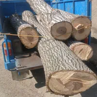 خرید وفروش چوب