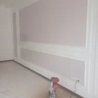 نیرو خانم نقاش
