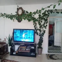 گل  پتوس ۳۰ متر بیشتره