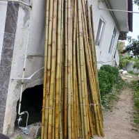نی بامبو ۳ متری مناسب پایه پرچم