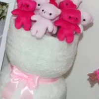 بوکت تدی نونو