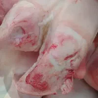 کله پاچه. پاچه گاو. جگر