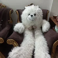 خرس بزرگ