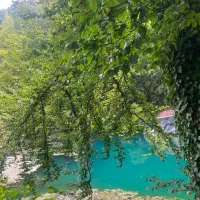 زمین۲۰۰متر/تلفیق رویایی ازدریاجنگل کوه وعطرشالیزار