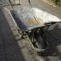 فرغون