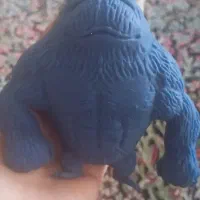 میمون