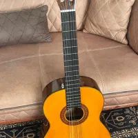 گیتار|گیتار، بیس، امپلیفایر|تهران, قیطریه|دیوار