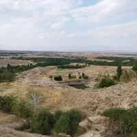 زمین باغی/دولت آباد/چشم انداز زیبا