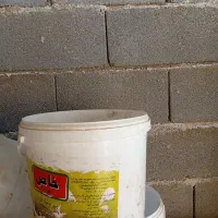 سطل|ظروف نگهدارنده، پلاستیکی، یکبارمصرف|قرچک, ولی آباد|دیوار