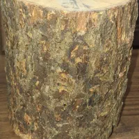 جا عودی درختی (خود درخت) (مشتری واقعی  تخفیف